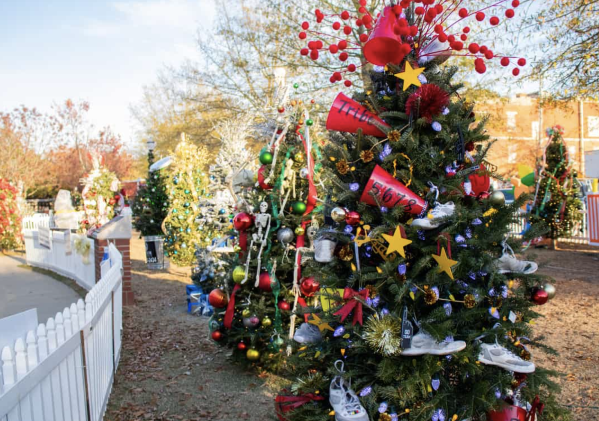 Christmas trees at the plaza in November 2023. 